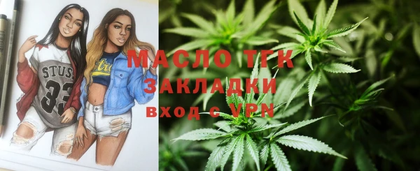 амф Верхний Тагил