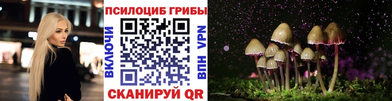 ссылка на мегу как зайти  Егорьевск  Галлюциногенные грибы мицелий 